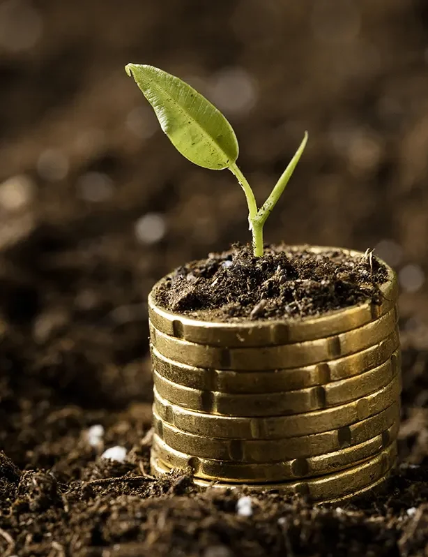 agriculture investments south africa
