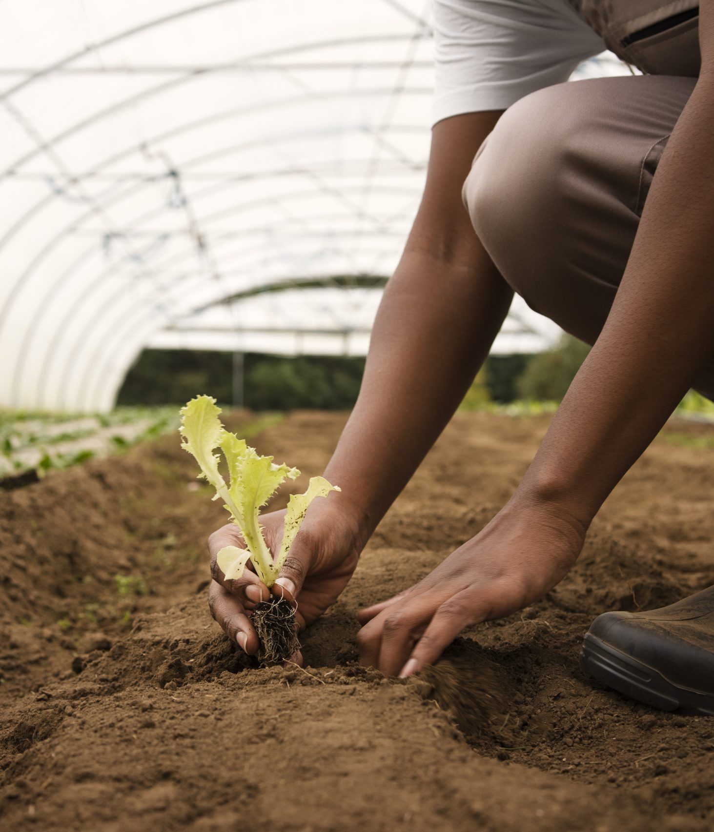 agriculture sale facilitator south africa