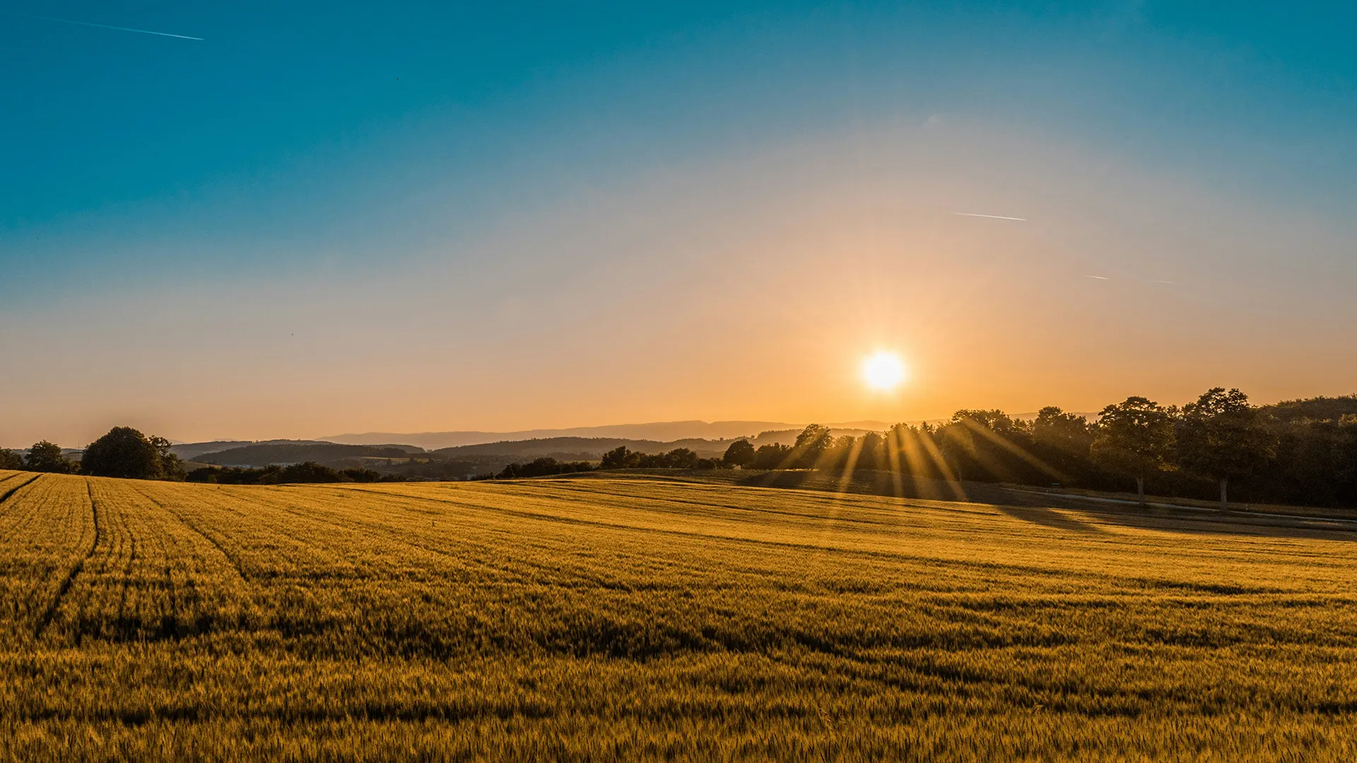 agricultural consultant mpumalanga