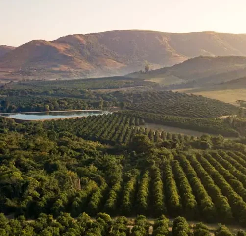 farms for sale limpopo